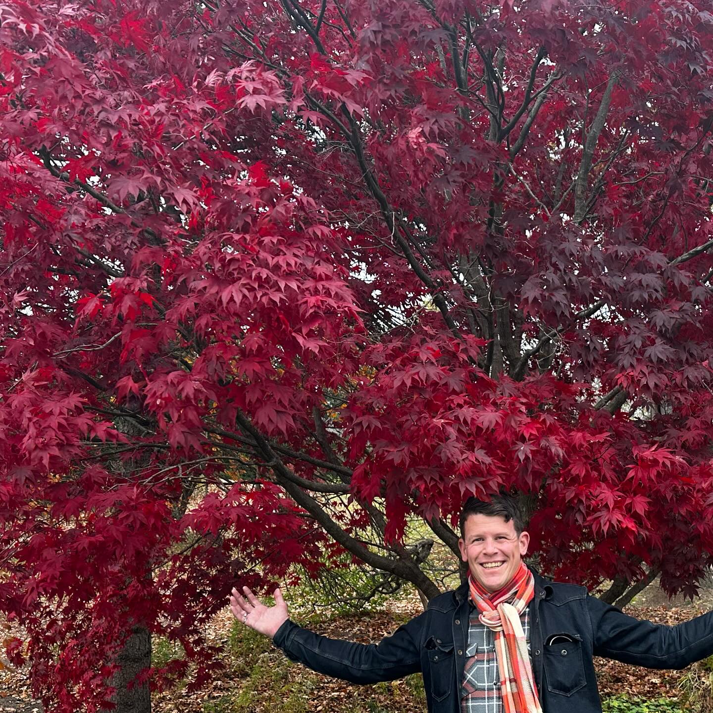 Buno Giorno Caffe & Panini