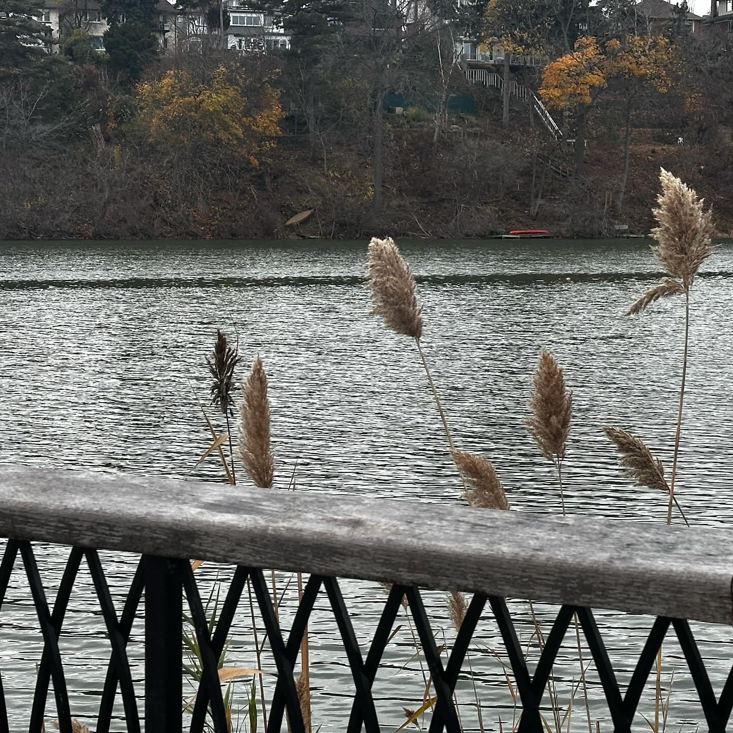 Buno Giorno Caffe & Panini