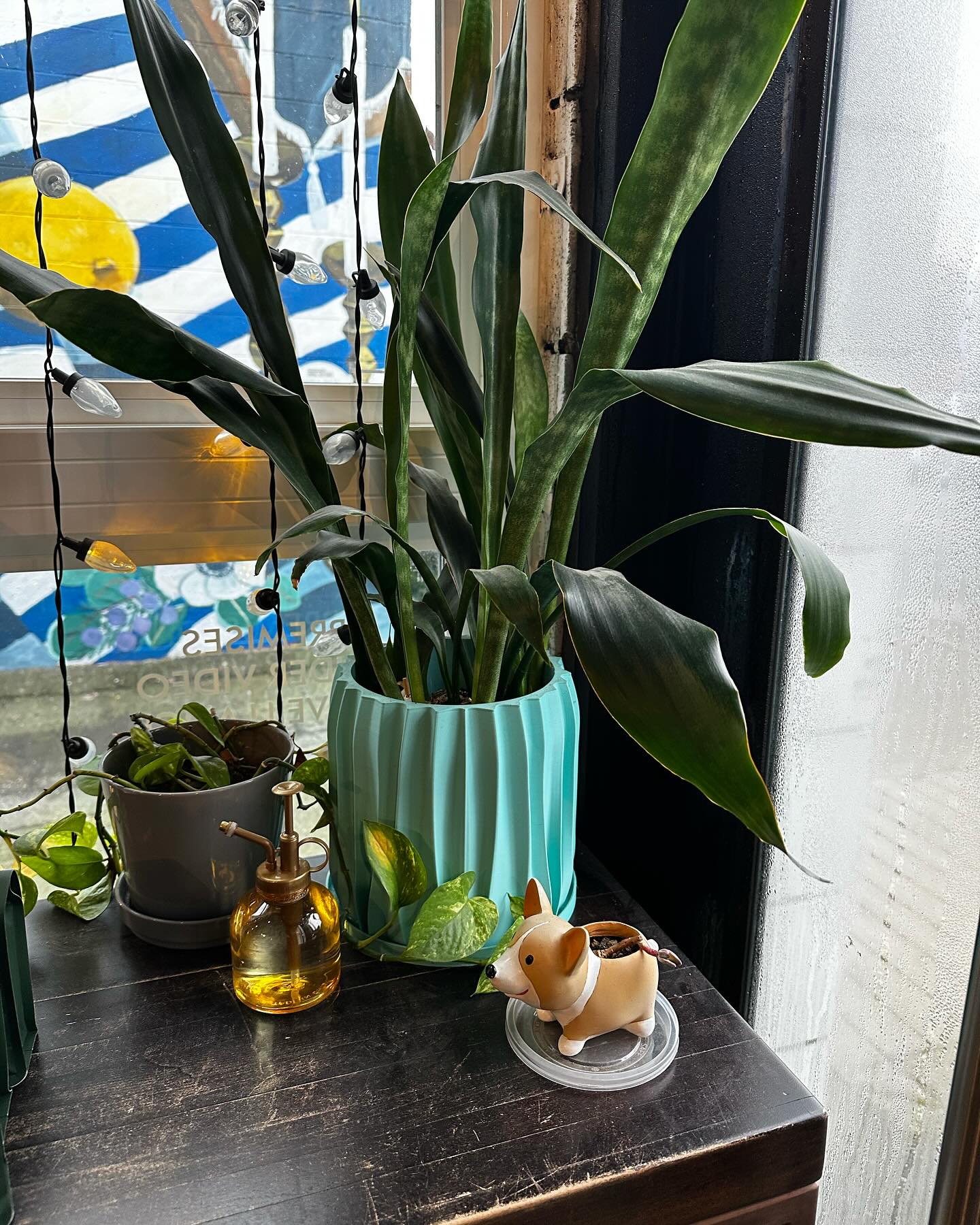 Just cause I'm home doesn't mean the coffee posts will stop, incredible pour over and sweet treats at @fifebakery in mount pleasant. #worldcoffeetour