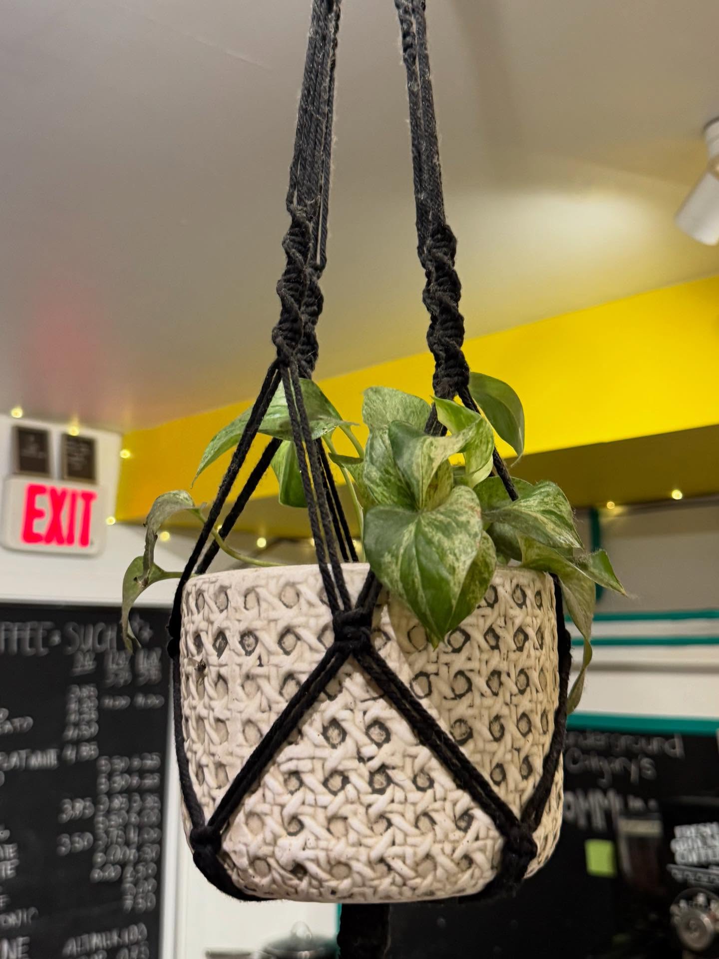 Great lil surprise cafe on the YYC #worldcoffeetour @iloveyoucoffeeshop friendly folks, great coffee, and vinyl.