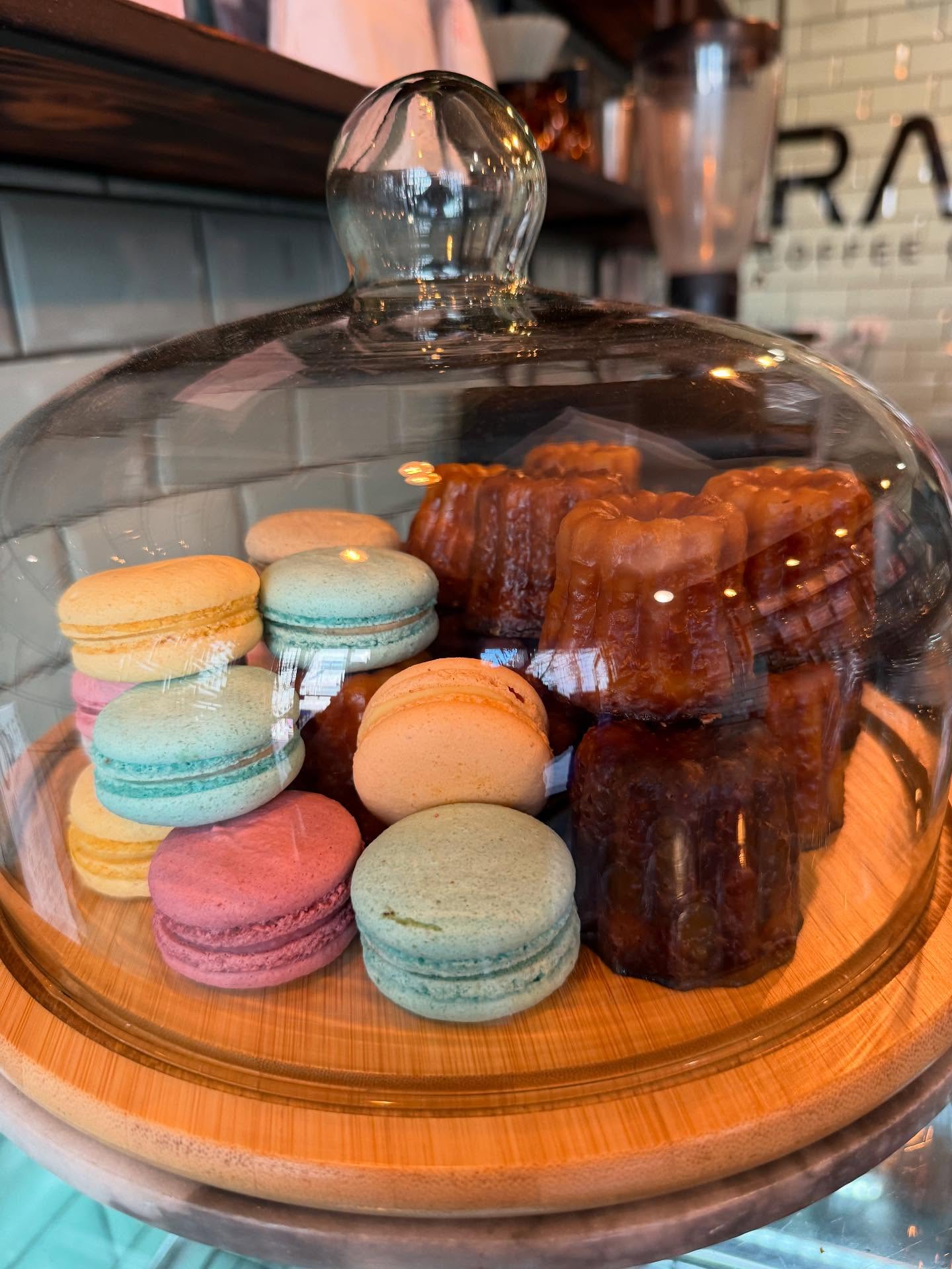 @tinaaluu now firmly arrived we started off the day with a bit of light work (I supervised Claude through some tricky state machine work) now off to wander with a coffee in hand from this great spot n