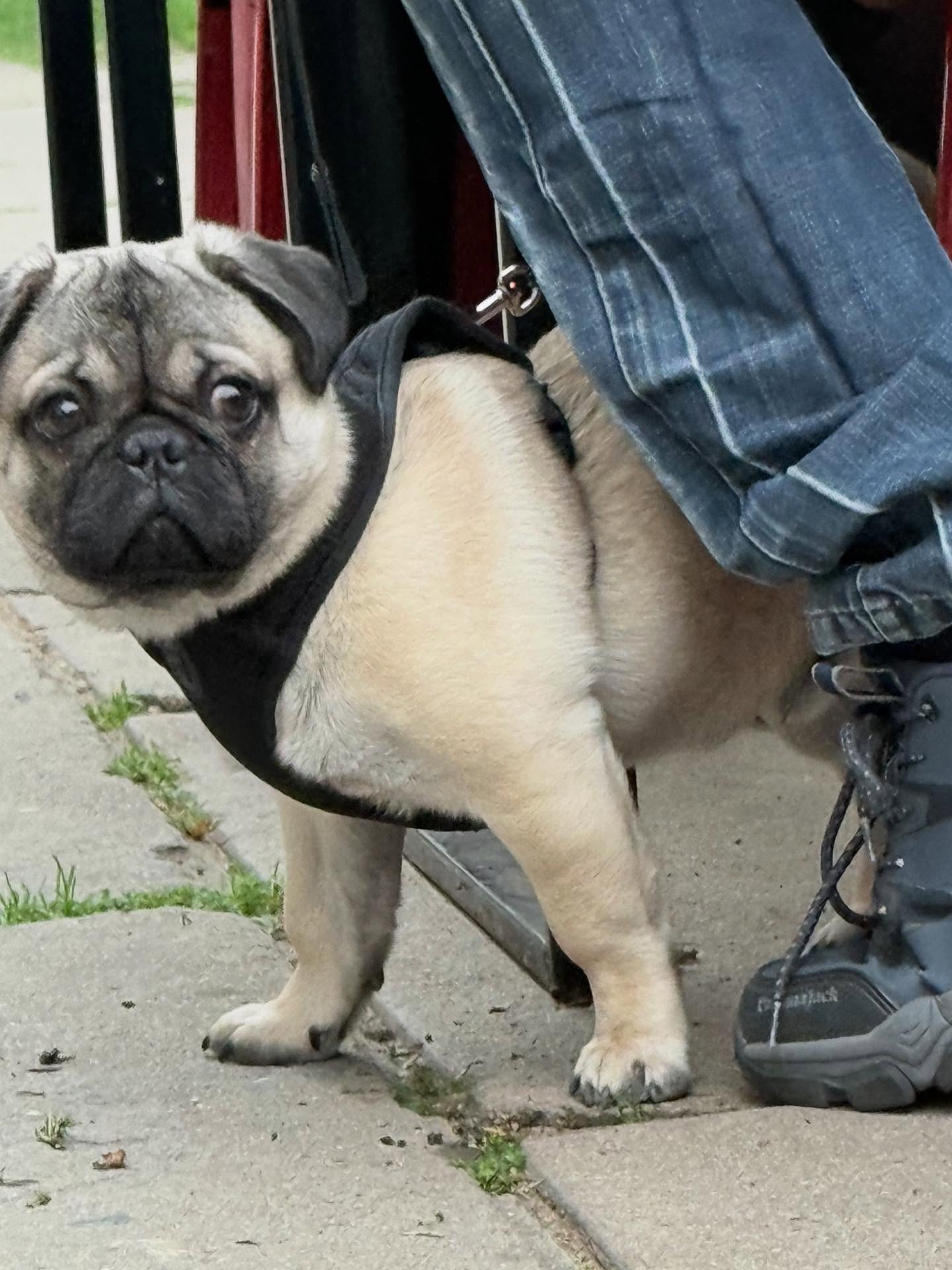 First good coffee I've had in a hot minute, @goodnickbar in Viña del Mar, @tinaaluu is doing a spot of work so I decided to get back on my shit and hunt down a good cafe for a stop on the #worldcof