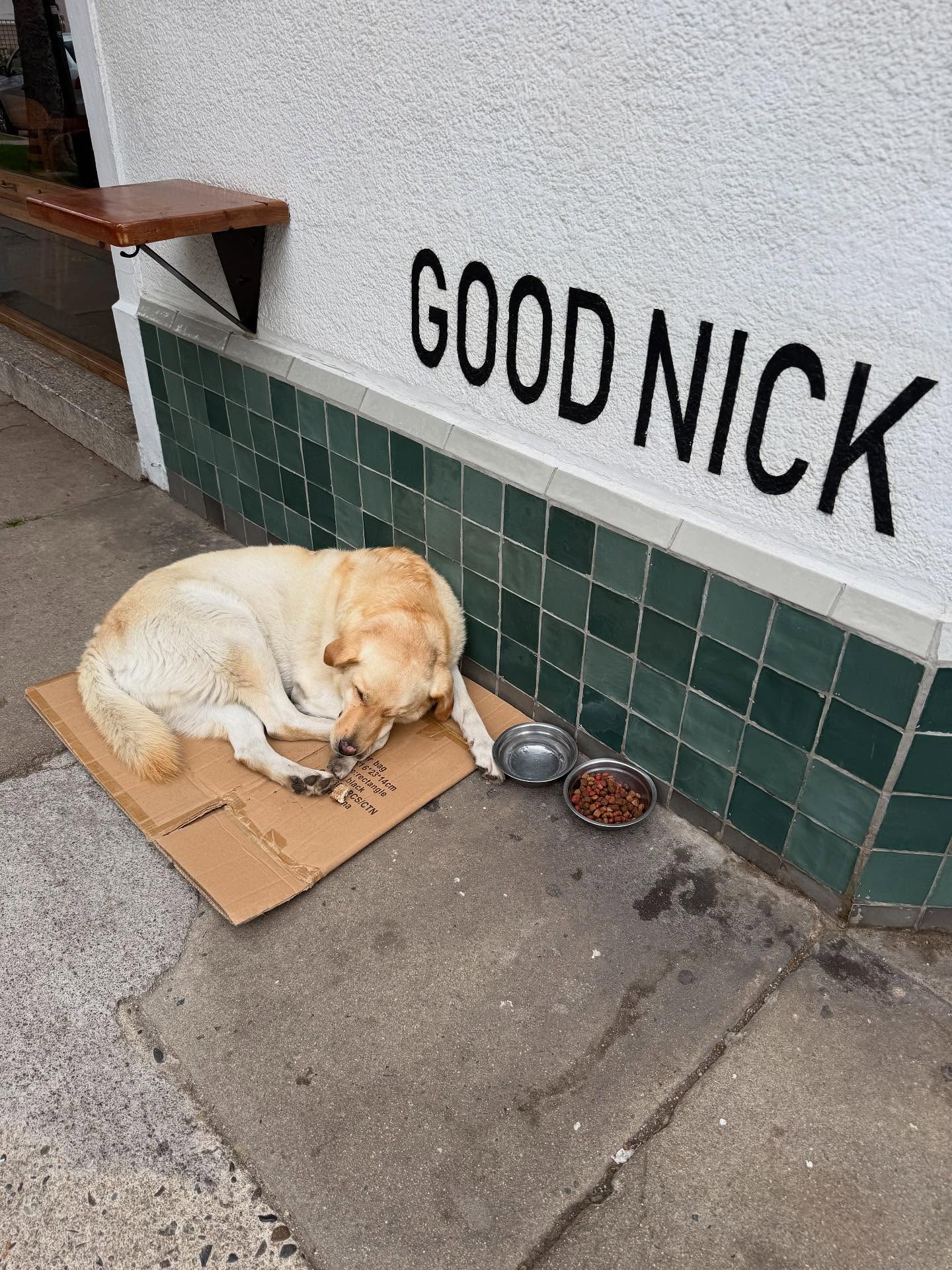 First good coffee I've had in a hot minute, @goodnickbar in Viña del Mar, @tinaaluu is doing a spot of work so I decided to get back on my shit and hunt down a good cafe for a stop on the #worldcof